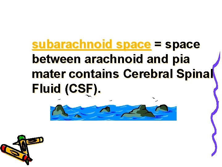 subarachnoid space = space between arachnoid and pia mater contains Cerebral Spinal Fluid (CSF).