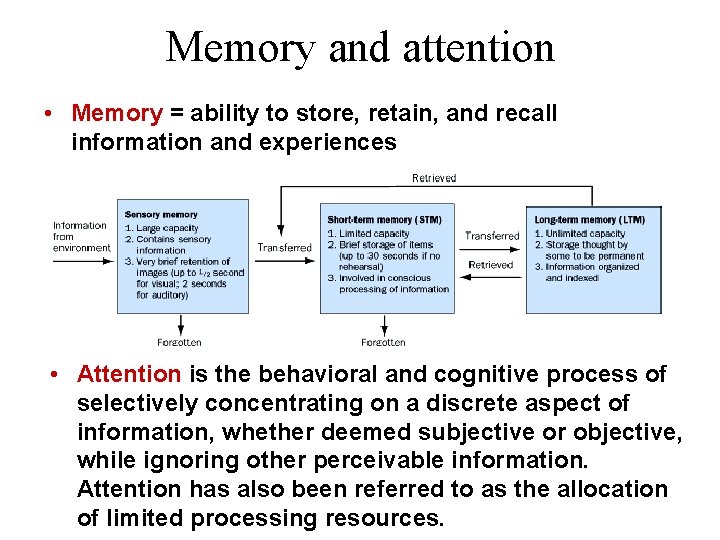 Memory and attention • Memory = ability to store, retain, and recall information and