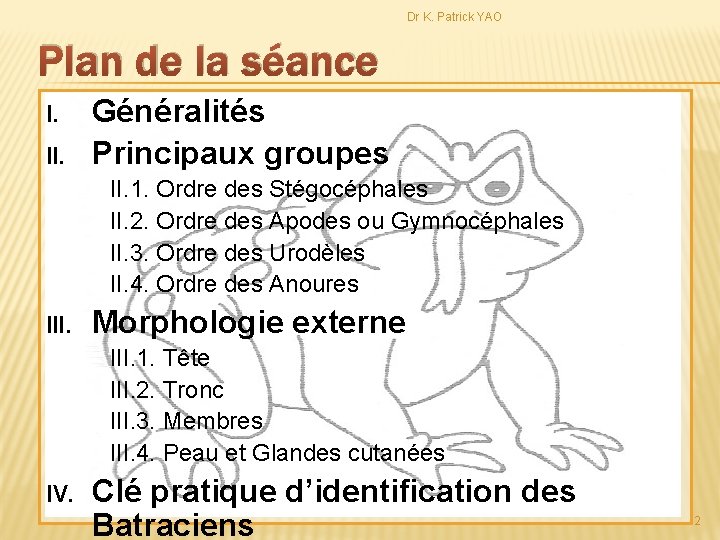 Dr K. Patrick YAO Plan de la séance I. II. Généralités Principaux groupes II.