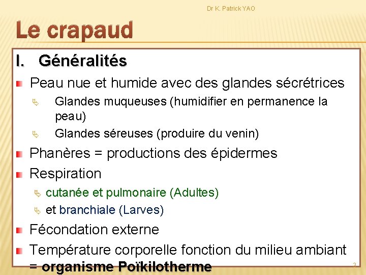 Dr K. Patrick YAO Le crapaud I. Généralités Peau nue et humide avec des