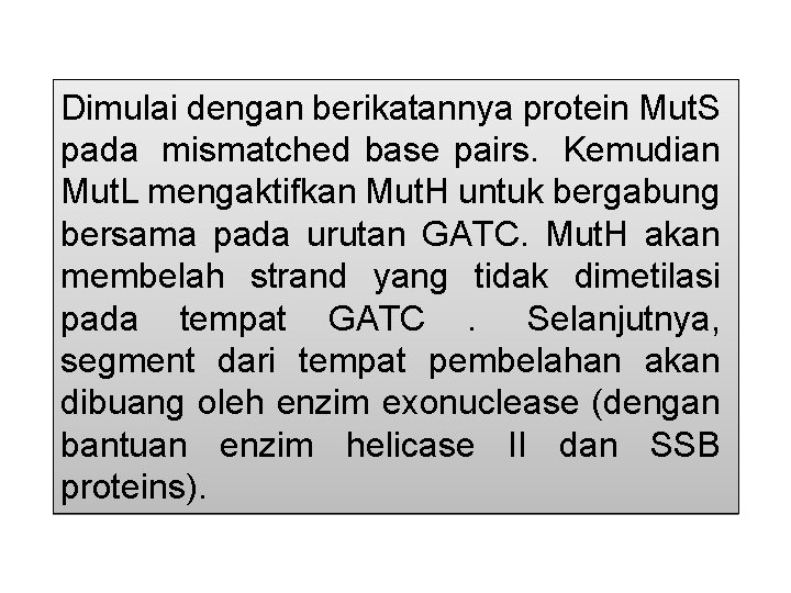 Dimulai dengan berikatannya protein Mut. S pada mismatched base pairs. Kemudian Mut. L mengaktifkan