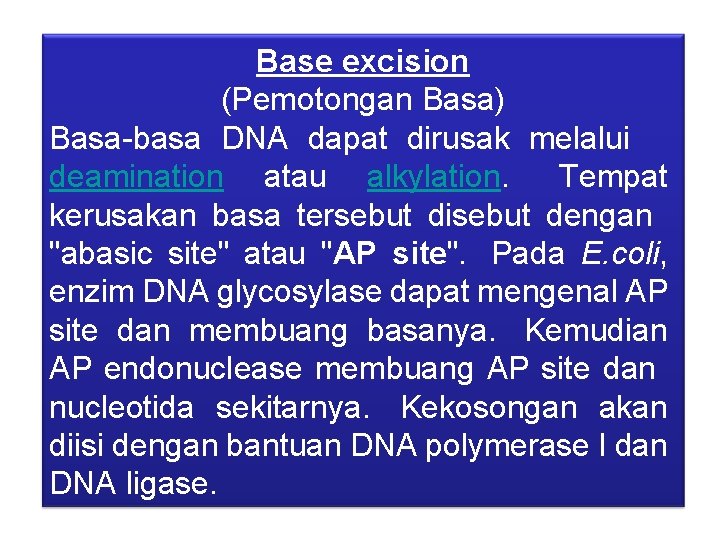 Base excision (Pemotongan Basa) Basa-basa DNA dapat dirusak melalui deamination atau alkylation. Tempat kerusakan