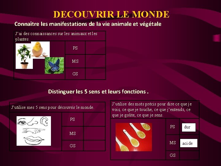 DECOUVRIR LE MONDE Connaître les manifestations de la vie animale et végétale J’ai des