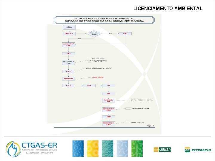 LICENCIAMENTO AMBIENTAL 