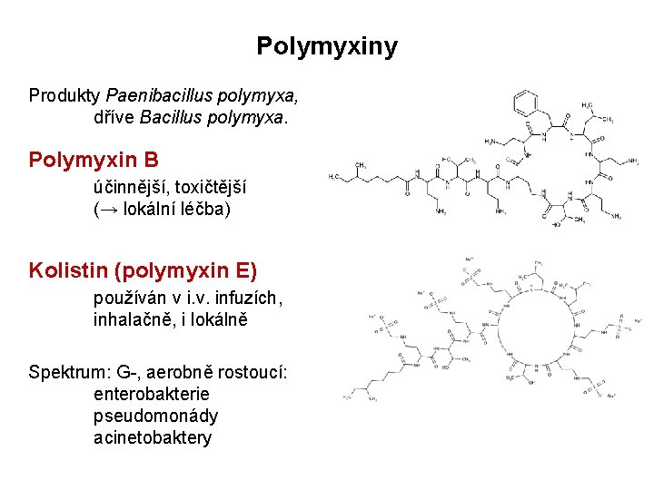 Polymyxiny Produkty Paenibacillus polymyxa, dříve Bacillus polymyxa. Polymyxin B účinnější, toxičtější (→ lokální léčba)