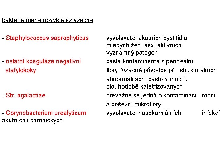 bakterie méně obvyklé až vzácné - Staphylococcus saprophyticus vyvolavatel akutních cystitid u mladých žen,