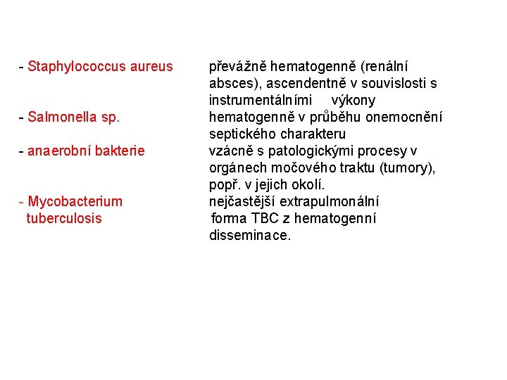 - Staphylococcus aureus převážně hematogenně (renální absces), ascendentně v souvislosti s instrumentálními výkony -