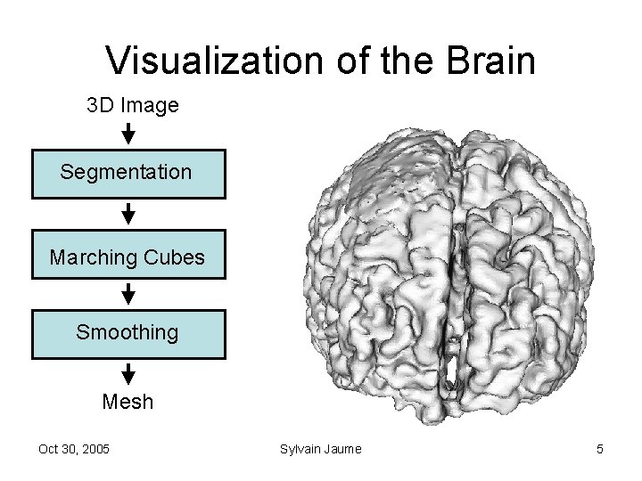 Visualization of the Brain 3 D Image Segmentation Marching Cubes Smoothing Mesh Oct 30,