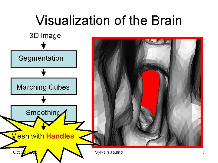 Visualization of the Brain 3 D Image Segmentation Marching Cubes Smoothing Mesh with Handles