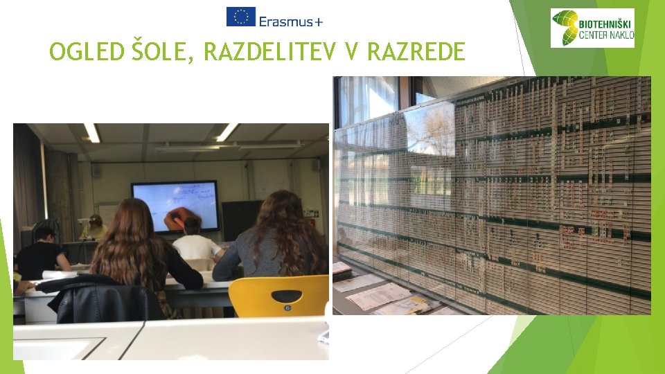 OGLED ŠOLE, RAZDELITEV V RAZREDE 