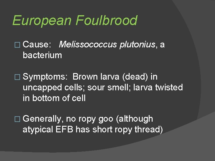 European Foulbrood � Cause: Melissococcus plutonius, a bacterium � Symptoms: Brown larva (dead) in