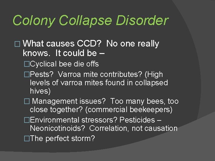 Colony Collapse Disorder � What causes CCD? No one really knows. It could be