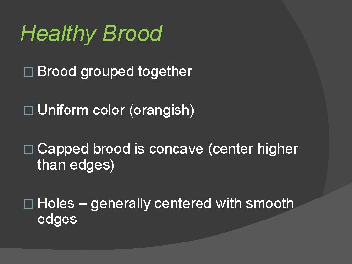 Healthy Brood � Brood grouped together � Uniform color (orangish) � Capped brood is
