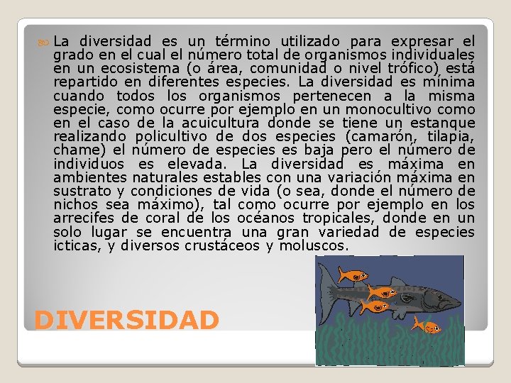  La diversidad es un término utilizado para expresar el grado en el cual