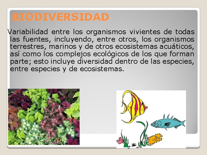 BIODIVERSIDAD Variabilidad entre los organismos vivientes de todas las fuentes, incluyendo, entre otros, los