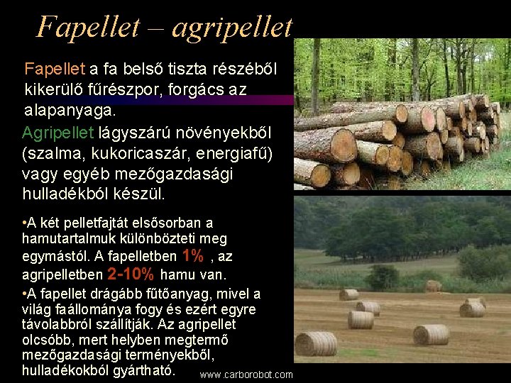 Fapellet – agripellet Fapellet a fa belső tiszta részéből kikerülő fűrészpor, forgács az alapanyaga.