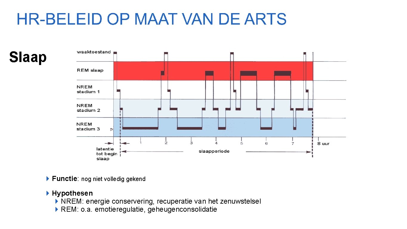 Slaap 4 Functie: nog niet volledig gekend 4 Hypothesen 4 NREM: energie conservering, recuperatie