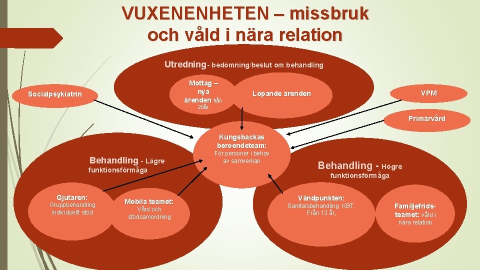 VUXENENHETEN – missbruk och våld i nära relation Utredning- bedömning/beslut om behandling Mottag –