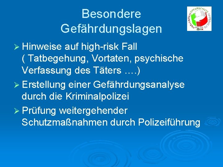 Besondere Gefährdungslagen Ø Hinweise auf high-risk Fall ( Tatbegehung, Vortaten, psychische Verfassung des Täters