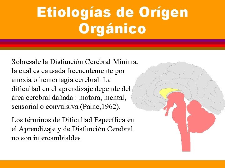 Etiologías de Orígen Orgánico Sobresale la Disfunción Cerebral Mínima, la cual es causada frecuentemente Etiologías de Orígen Orgánico Sobresale la Disfunción Cerebral Mínima, la cual es causada frecuentemente