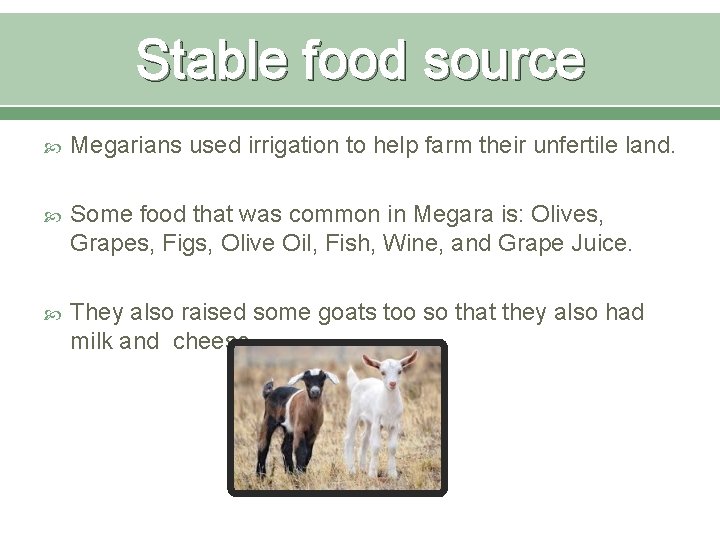 Stable food source Megarians used irrigation to help farm their unfertile land. Some food