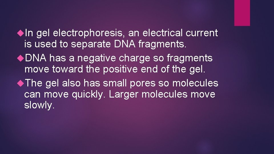  In gel electrophoresis, an electrical current is used to separate DNA fragments. DNA