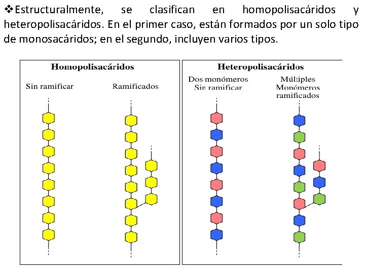 v. Estructuralmente, se clasifican en homopolisacáridos y heteropolisacáridos. En el primer caso, están formados