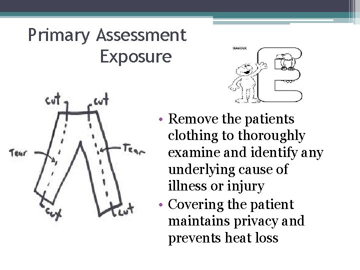 Primary Assessment Exposure • Remove the patients clothing to thoroughly examine and identify any