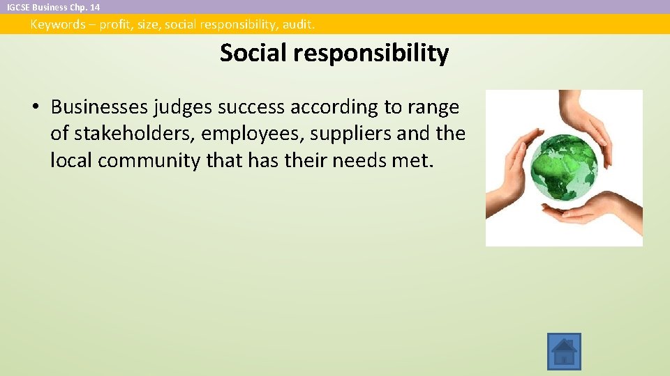 IGCSE Business Chp. 14 Keywords – profit, size, social responsibility, audit. Social responsibility •