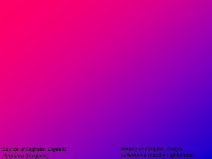 Source of Digitalis: Digitalis Purpurea (foxglove) Source of atropine: Atropa belladonna (deadly nightshade) 