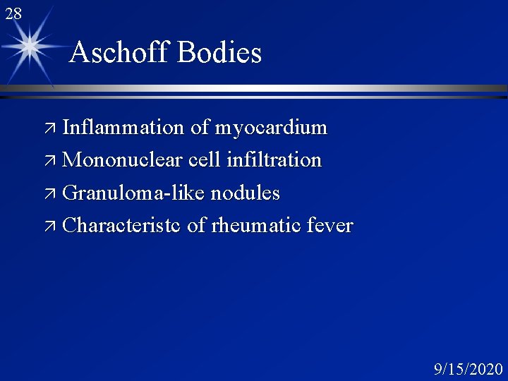 28 Aschoff Bodies ä Inflammation of myocardium ä Mononuclear cell infiltration ä Granuloma-like nodules