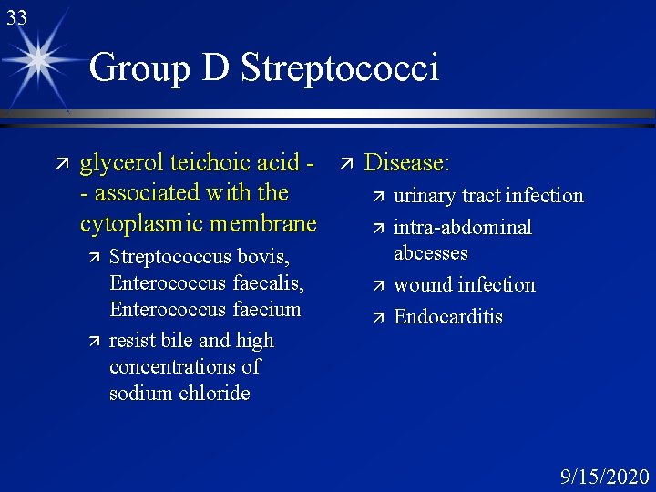 33 Group D Streptococci ä glycerol teichoic acid - associated with the cytoplasmic membrane