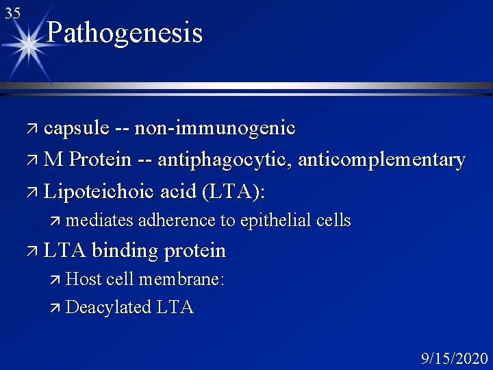 35 Pathogenesis ä capsule -- non-immunogenic ä M Protein -- antiphagocytic, anticomplementary ä Lipoteichoic