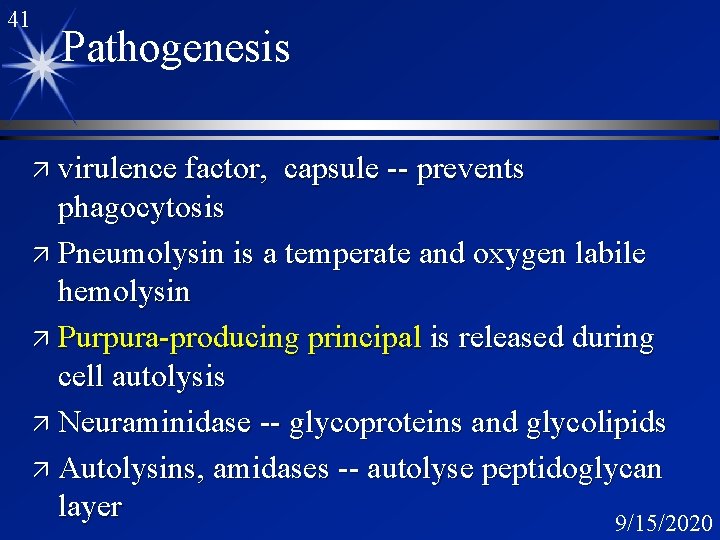 41 Pathogenesis ä virulence factor, capsule -- prevents phagocytosis ä Pneumolysin is a temperate