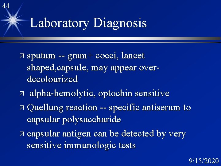 44 Laboratory Diagnosis ä sputum -- gram+ cocci, lancet shaped, capsule, may appear overdecolourized