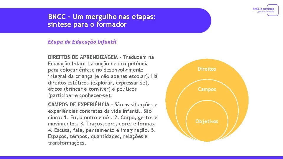 BNCC - Um mergulho nas etapas: síntese para o formador Etapa da Educação Infantil