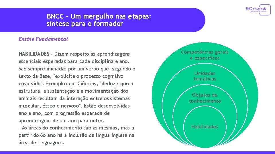 BNCC - Um mergulho nas etapas: síntese para o formador Ensino Fundamental HABILIDADES -