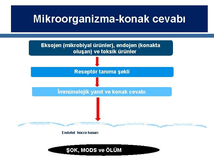 Mikroorganizma-konak cevabı Eksojen (mikrobiyal ürünler), endojen (konakta oluşan) ve toksik ürünler Reseptör tanıma şekli