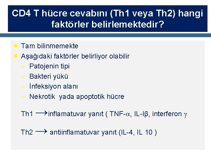 CD 4 T hücre cevabını (Th 1 veya Th 2) hangi faktörler belirlemektedir? l