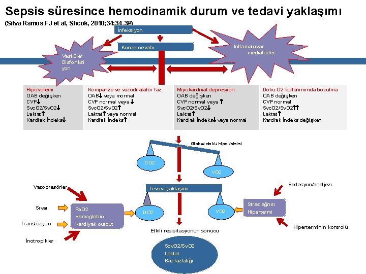 Sepsis süresince hemodinamik durum ve tedavi yaklaşımı (Silva Ramos FJ et al, Shcok, 2010;