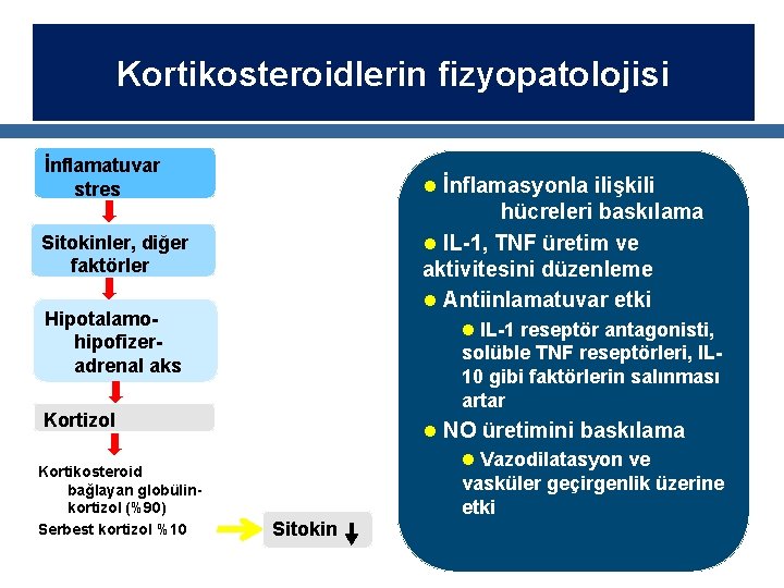 Kortikosteroidlerin fizyopatolojisi Etkileri İnflamatuvar stres l İnflamasyonla ilişkili hücreleri baskılama l IL-1, TNF üretim