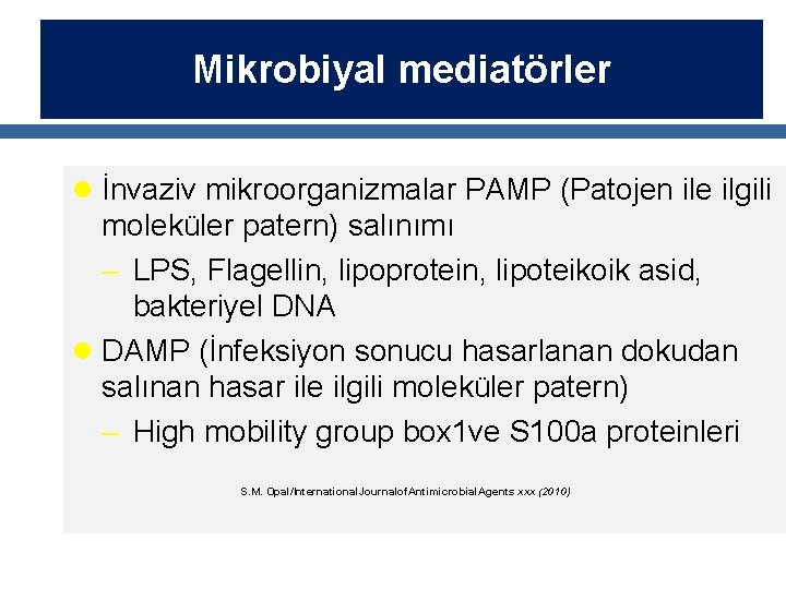 Mikrobiyal mediatörler l İnvaziv mikroorganizmalar PAMP (Patojen ile ilgili moleküler patern) salınımı – LPS,