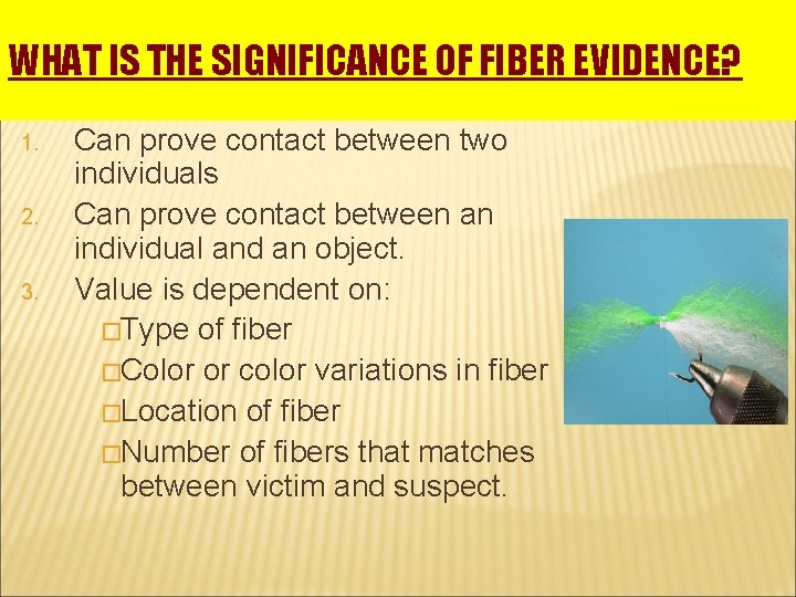 WHAT IS THE SIGNIFICANCE OF FIBER EVIDENCE? 1. 2. 3. Can prove contact between WHAT IS THE SIGNIFICANCE OF FIBER EVIDENCE? 1. 2. 3. Can prove contact between
