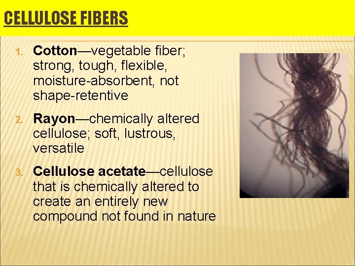 CELLULOSE FIBERS 1. Cotton—vegetable fiber; strong, tough, flexible, moisture-absorbent, not shape-retentive 2. Rayon—chemically altered CELLULOSE FIBERS 1. Cotton—vegetable fiber; strong, tough, flexible, moisture-absorbent, not shape-retentive 2. Rayon—chemically altered