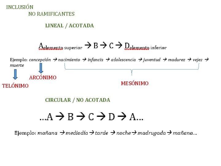INCLUSIÓN NO RAMIFICANTES LINEAL / ACOTADA ARCÓNIMO TELÓNIMO CIRCULAR / NO ACOTADA MESÓNIMO 