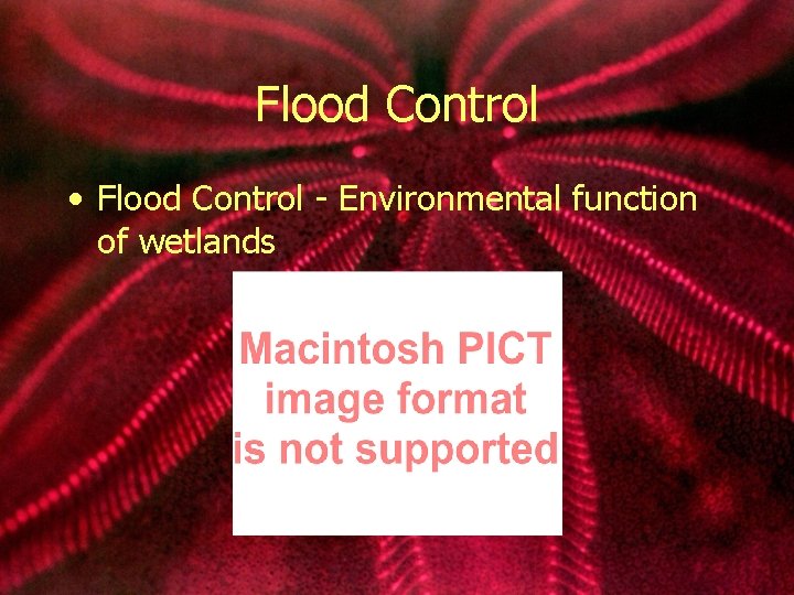 Flood Control • Flood Control - Environmental function of wetlands 
