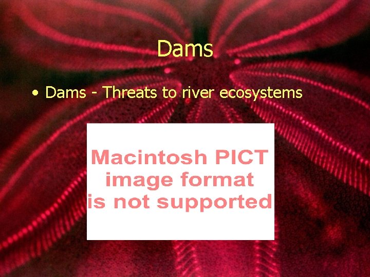 Dams • Dams - Threats to river ecosystems 