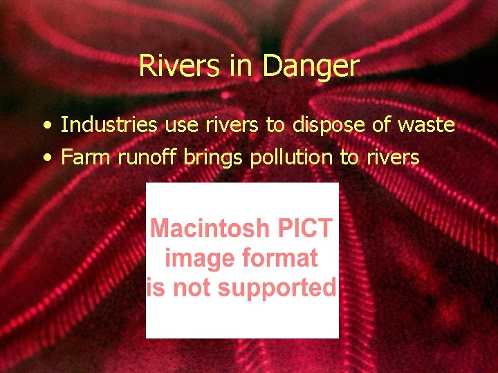Rivers in Danger • Industries use rivers to dispose of waste • Farm runoff