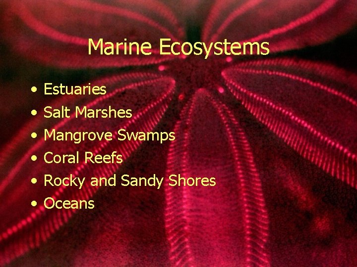 Marine Ecosystems • • • Estuaries Salt Marshes Mangrove Swamps Coral Reefs Rocky and