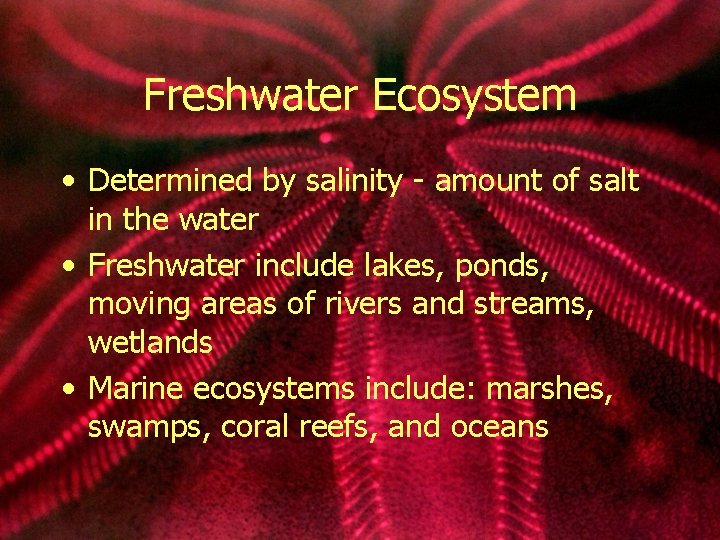 Freshwater Ecosystem • Determined by salinity - amount of salt in the water •